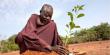30 Tahun Hijaukan Afrika Barat Seorang Diri, Kisah Pria Ini Menginspirasi