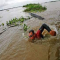 Pecahkan Rekor Dunia! Martin Strel Taklukan Sungai Amazon yang Penuh Ikan Buas