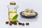 Jojoba Oil Market Growing Demand and Huge Future Opportunities by 2030